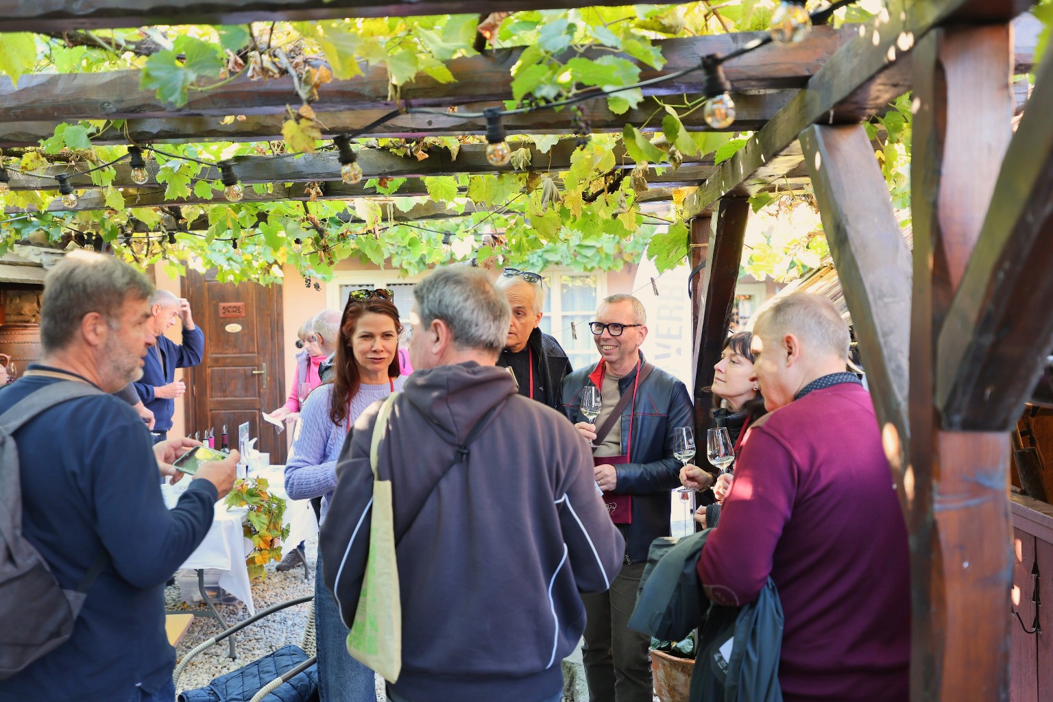 Visitors tasting wine beneath the vines in the Bencovje grunt courtyard