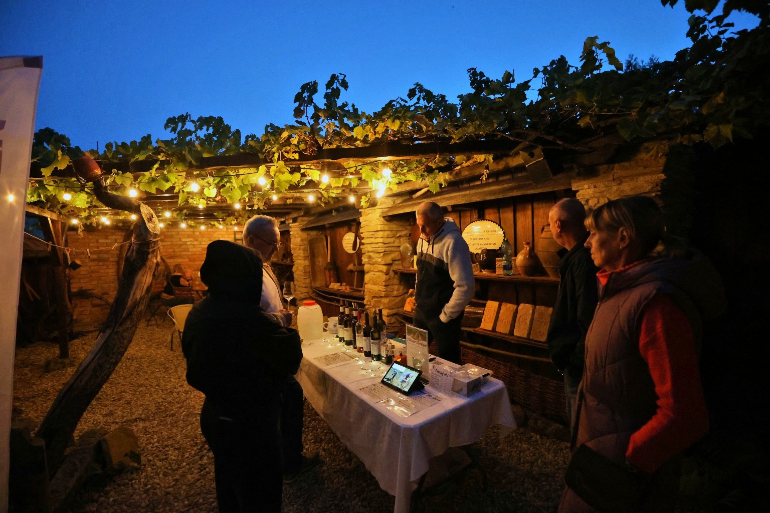 Evening tasting at Bencovje grunt with lights beneath the vines