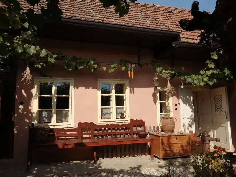 Historic Bencovje grunt house
